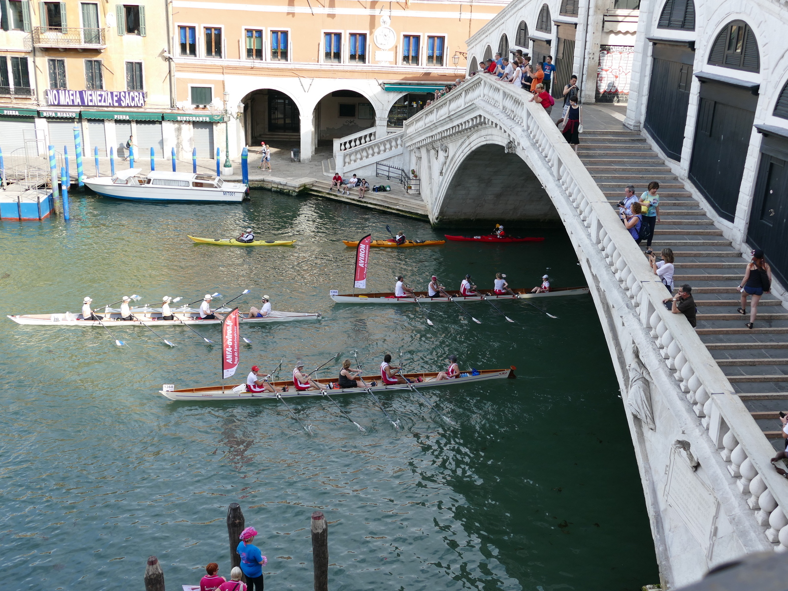 VENISE - VOGALONGA  24 Mai 2026